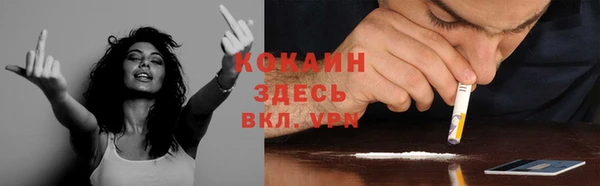 дурь Кинешма