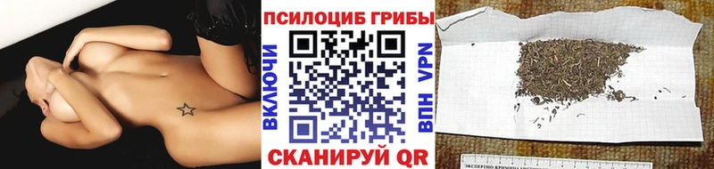 Купить закладки  Зверево  Псилоцибиновые грибы Magic Shrooms 