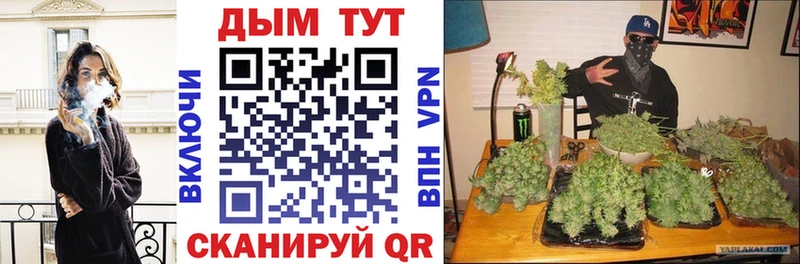 Каннабис семена  Купить  Зверево 